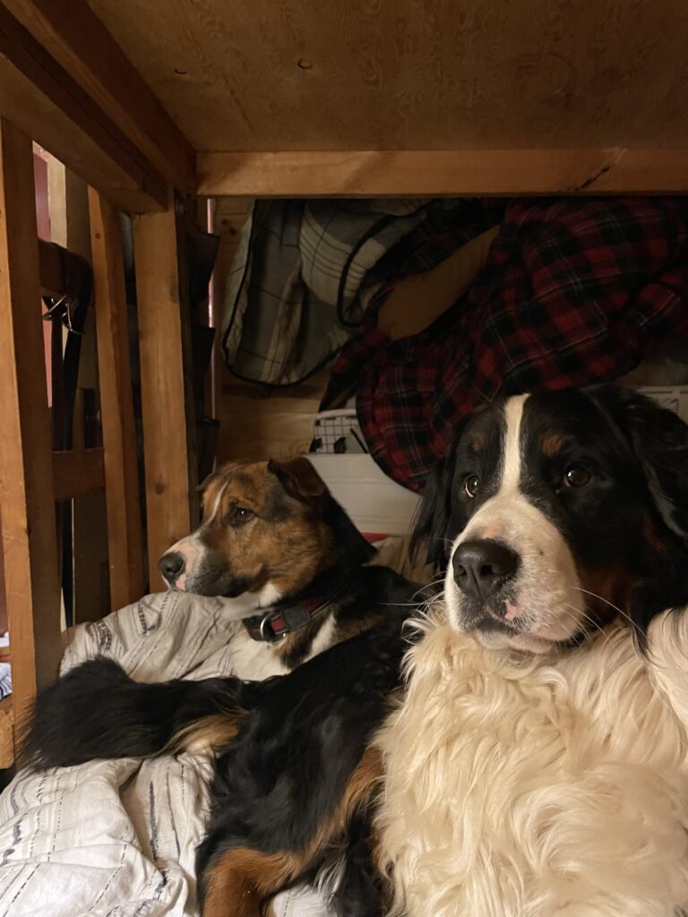 Maurice at the cottage