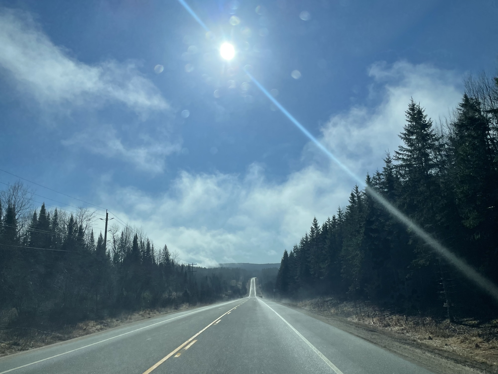 My Best Christmas Gift: A Baby!